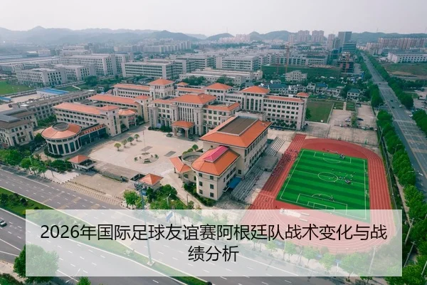 2026年国际足球友谊赛阿根廷队战术变化与战绩分析