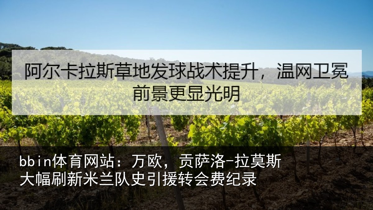 bbin体育网站：万欧，贡萨洛-拉莫相关情况史引援转会费纪录
