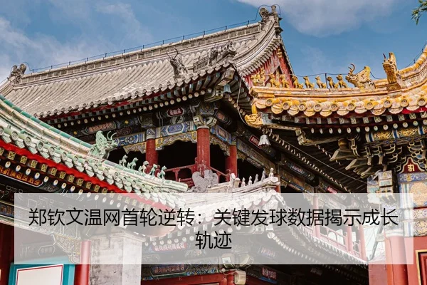 zheng-qin-wen-wen-wang-shou-lun-ni-zhuan-guan-jian-fa-qiu-shu-ju-jie-shi-cheng-zhang-gui-ji-3-109.jpg